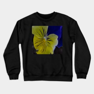 Pansy Crewneck Sweatshirt